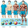 Body composition changes from mibolerone